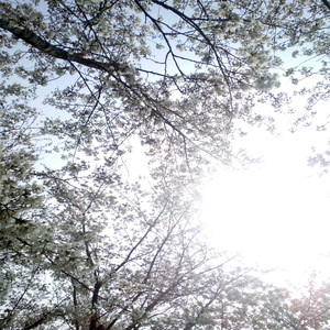 欧美老妇性色XXⅩXXA片
